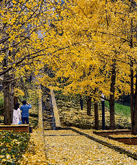 ˮ۪104ƽ16귿ɷȫݷ¼