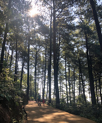 临时喊走就走的古剑山露营【2019夏游记】