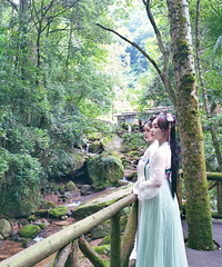 ���Ϻ����ݡ��°����Ӵ��桷�����Ĺŷ�д��һ����nice