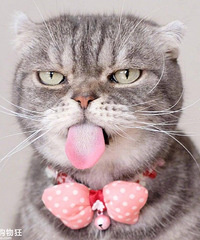 �ֱ��������û���˭��