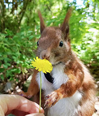 5��ǰ������ֻ����