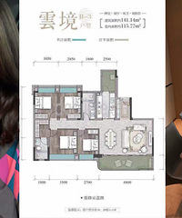 套内19700下叉江山云出,喜欢它的精装