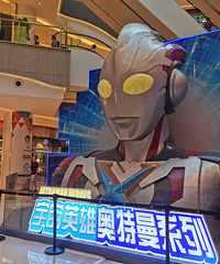 ������û�д��޶�ȥ��ƺ�����������о������˾�����