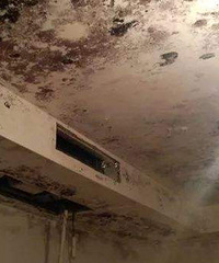 全天除湿还发霉,洋房别墅地下室能干啥