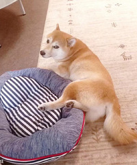 �����Ҳ�˯����Ҳ���ҵģ�