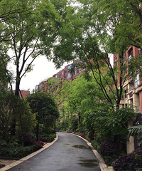 齭113ƽ󷿴ǣ˵˵ѡװ޹˾ĵ