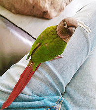 ����һֻʲô����ѽ��