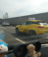 路上随处可见新能源越野车出租
