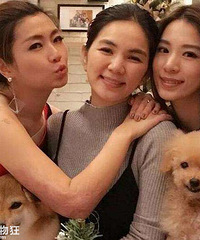 SHEֻʣ��ǿ�ŵĽ����飡