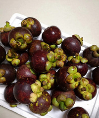 λعɽ񣬼۸ȳбˣһ