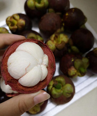 ���λع���ɽ�񣬼۸�ȳ��б��ˣ����һ�������