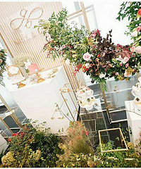 ȥӢѧʱʶwanghongƵȫó