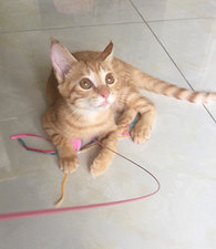 5���µ���è����������