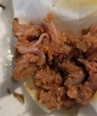 吃牛肉吃到这个,这是啥子东西?
