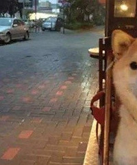 ����Խ��Խ���׸е��¶����Ե��˸о�û��ô��������