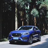 落地50万,提F-PACE