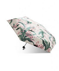 Ľ¿ڴɡֵĺøߣȽɡҪСɣŴŷ