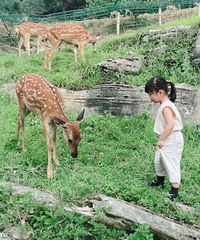 ůůȥȵ޴򿨡͡ٹʽ١