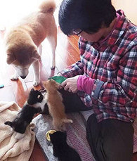 ��5�������14ֻè