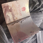出游前,护照被狗撕了