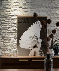 ɹɹ��װ���¼ң��Ļ�ʯ���ı���ǽ����Ư��