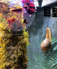 可以这样零距离接触动物的地方,就在主城!