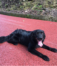 ��ú������Ϊ����ĺڣ�