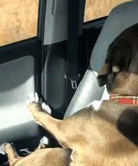 ȥ��ҽԺ���Ӳ�������