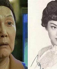 TVB��Ա��Ƽȥ������������