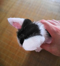 è����������è޺��