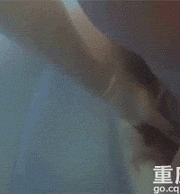 摄影师记录水下分娩全过程