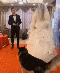 �����϶�����Ȼ�������£�