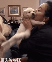 ��ÿ�춼���Լ��ĺ�������