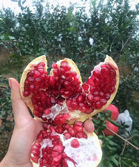 ժַͻ˹ʯż39.9Ԫ/5