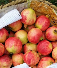 ժַͻ˹ʯż39.9Ԫ/5