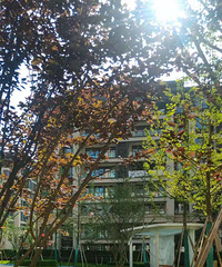 Ԫ141ƽװС׵ײײװռ