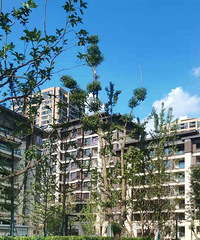 Ԫ141ƽװС׵ײײװռ