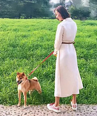 ���󵤷�����ư�������ֱ��̫����