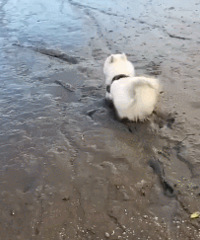 ��ĦҮ�ϱ����Ǹ��ֵصİ�