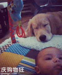 ʲô���䣬���ʺ�������