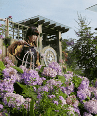 40ݣڻɽ˸1500ƽĻ԰