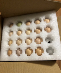 üＦûˣһյһ̵þϲ