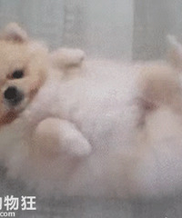 �����ߣ������ȷ�򿪷�ʽ