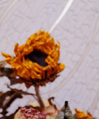 ����̫�ȣ��ɻ��佹��������Ȼ�������ͻ��о�