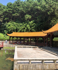 铁山坪一日游,拍风景还不错