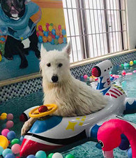 ��ˮ��ͻȻ����ˣ�