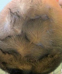 ����ͷ�ϵ�����ɶ���壿Ӱ���Ը���Ӱ�����̣������ǣ�Ӱ�����
