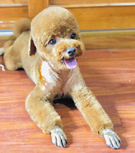 �˼����Ҹ�Ů����