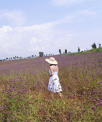 3ȥԴгͿַܷĳʱдƬ