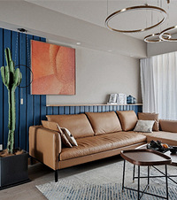 Ȼϣҳֲװŷ120ƽɫļ